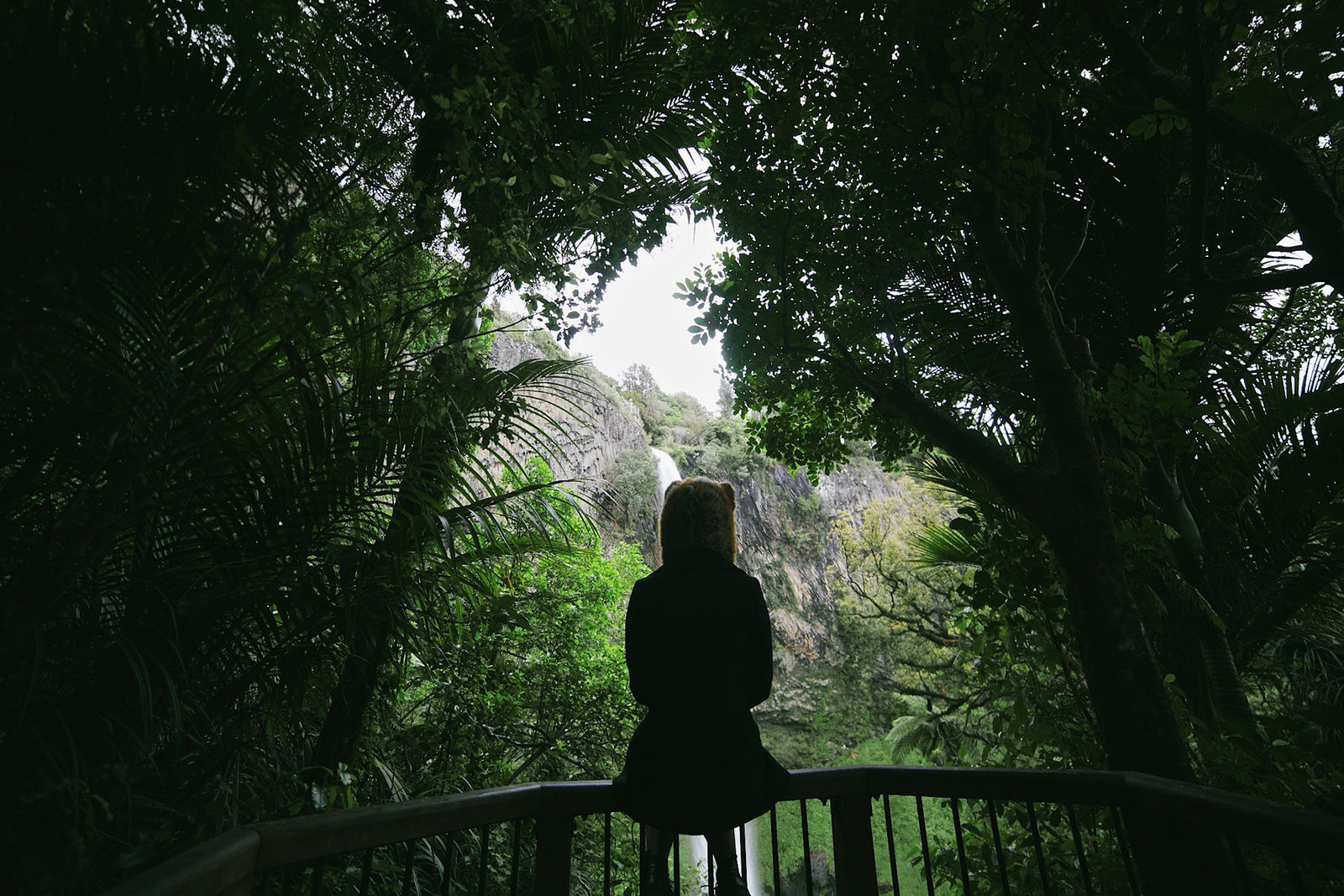 person sitting on ledge looking into forest