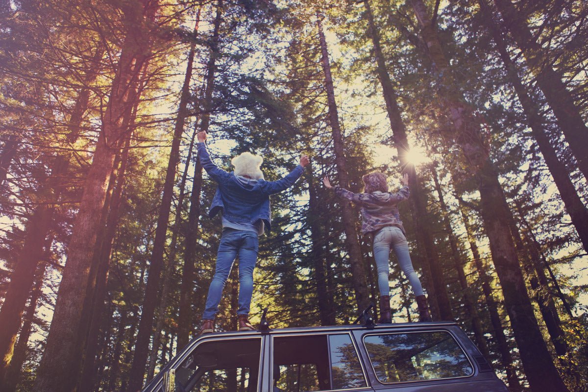 two people wearing faux fur standing on car in woods