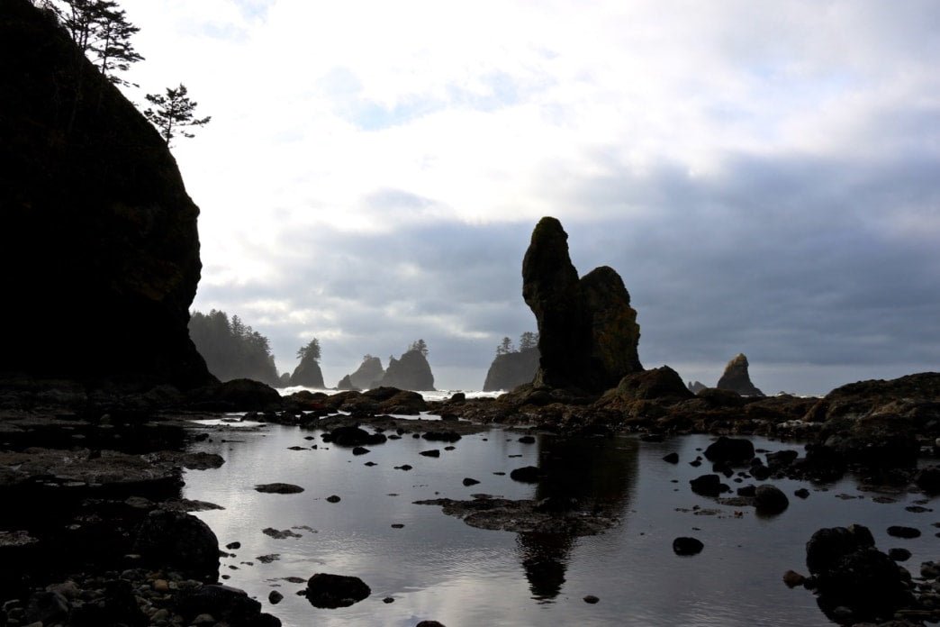 Washington's Olympic National Park