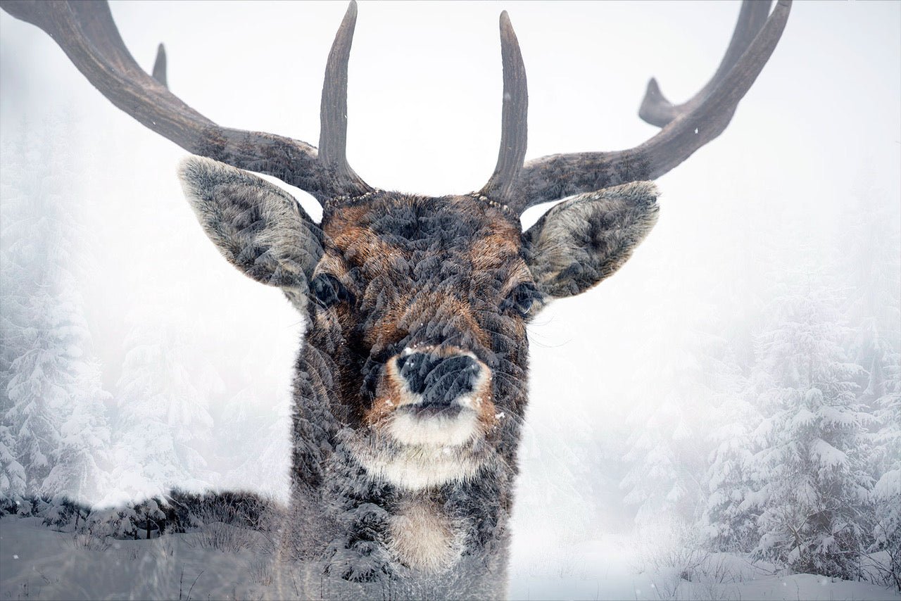 An upclose AI image or a Deer with antlers in the snow and fog.