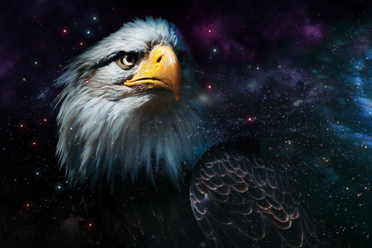 An AI image of an Eagle's head with the night sky and stars in the background.