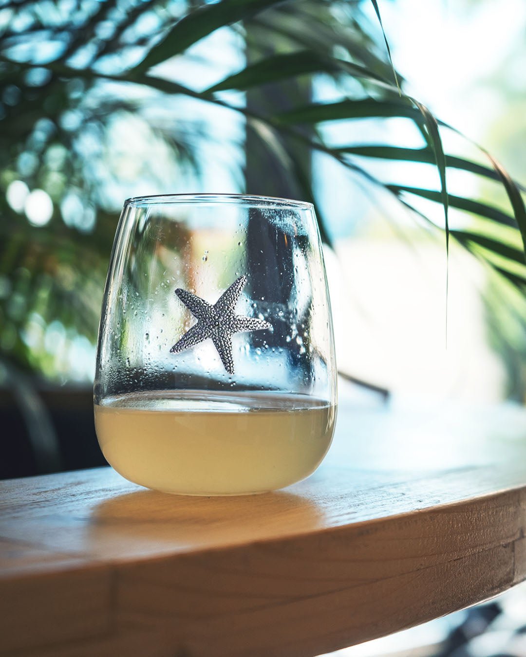 Stemless Wine Glass | Starfish