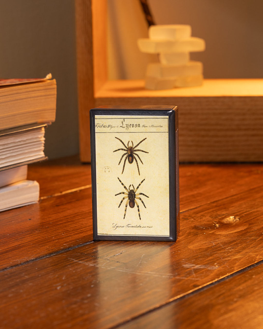 Decorative Matches | Spider