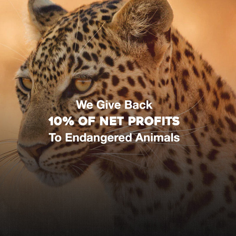 Infographic showing image of a leopard with text stating, "We give back 10% of net profits to endangered animals".