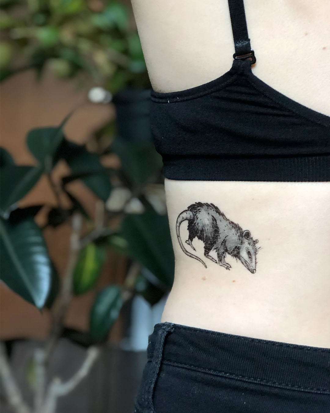 Opossum Temporary Tattoo