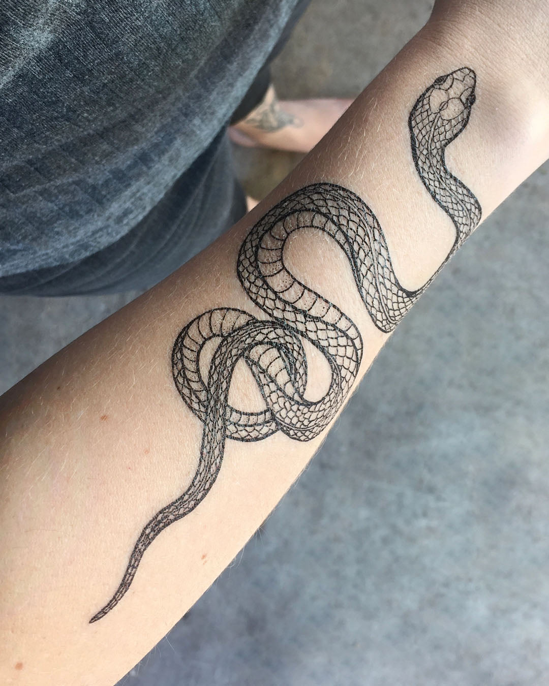 Garden Snake Temporary Tattoo