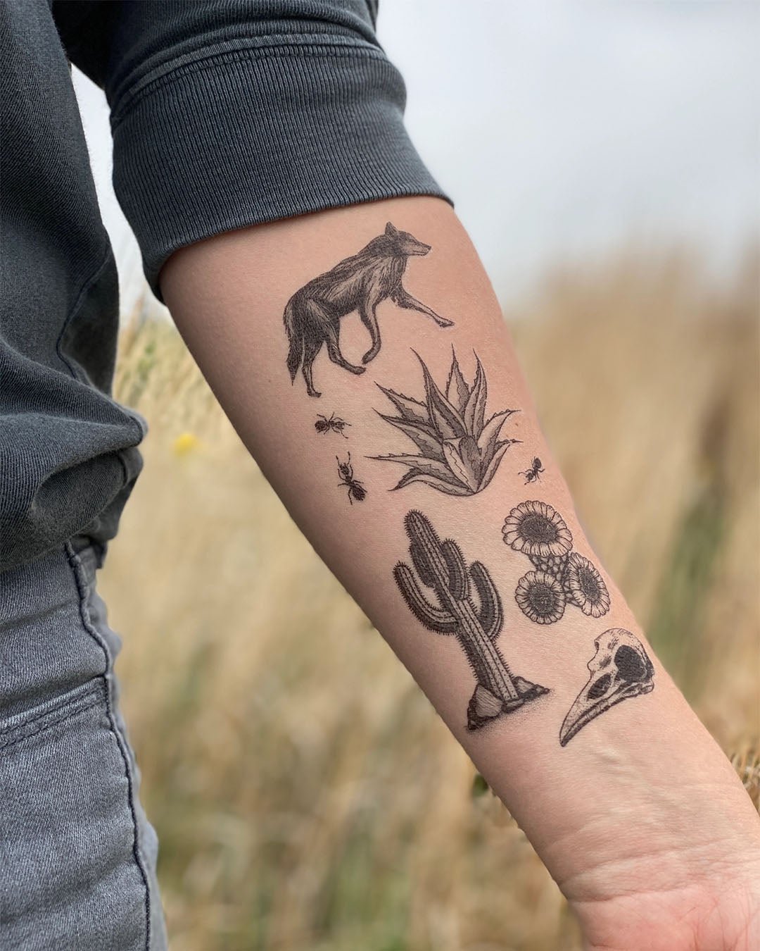 Coyote Desert Wild Temporary Tattoos