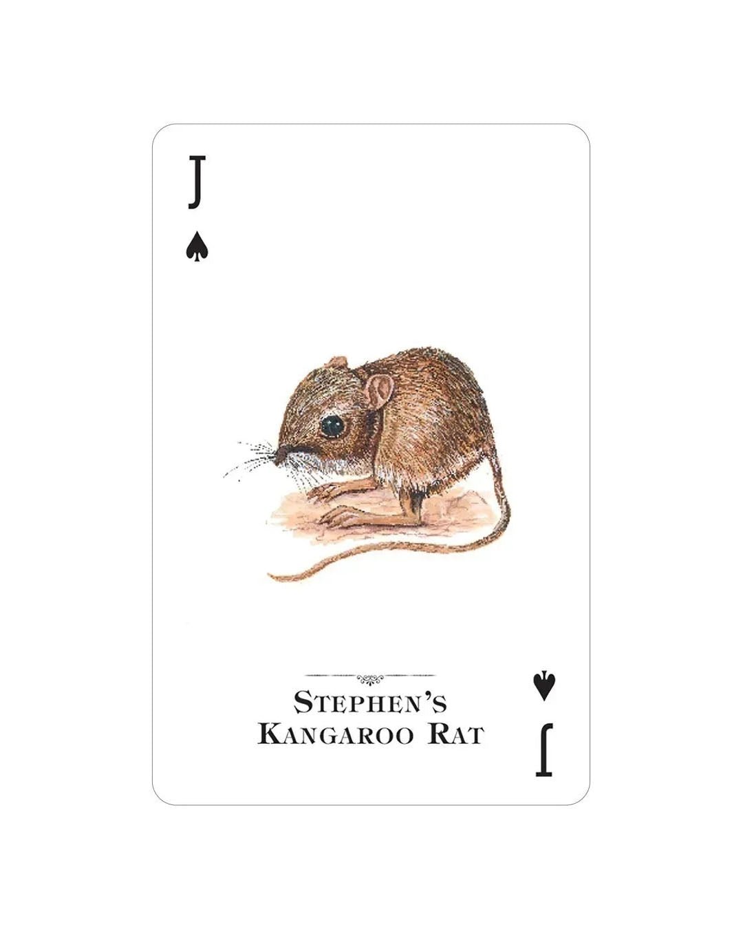 Endangered Species Playing Cards