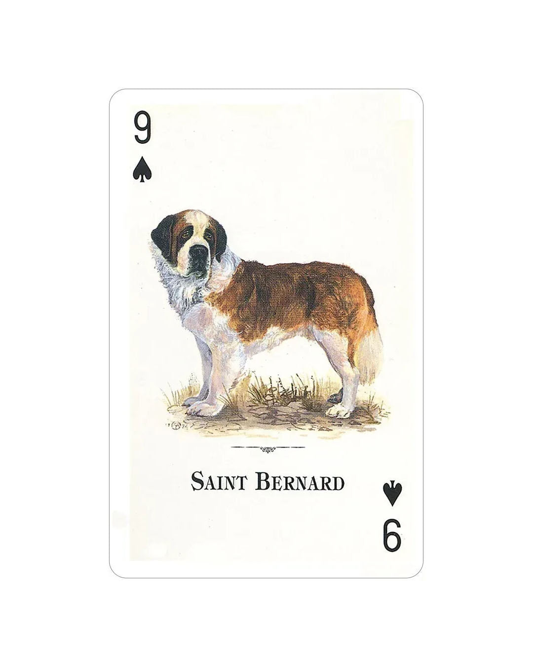 Dogs of the World Playing Cards