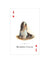 Dogs of the World Playing Cards