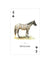 Horses of the World Playing Cards