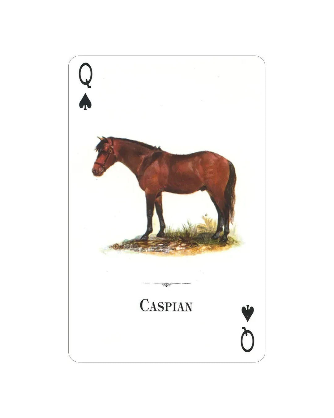 Horses of the World Playing Cards