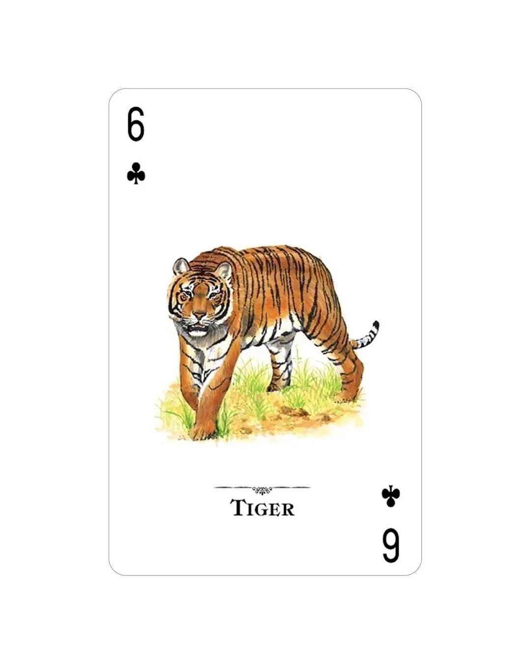 Endangered Species Playing Cards