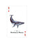 Endangered Species Playing Cards