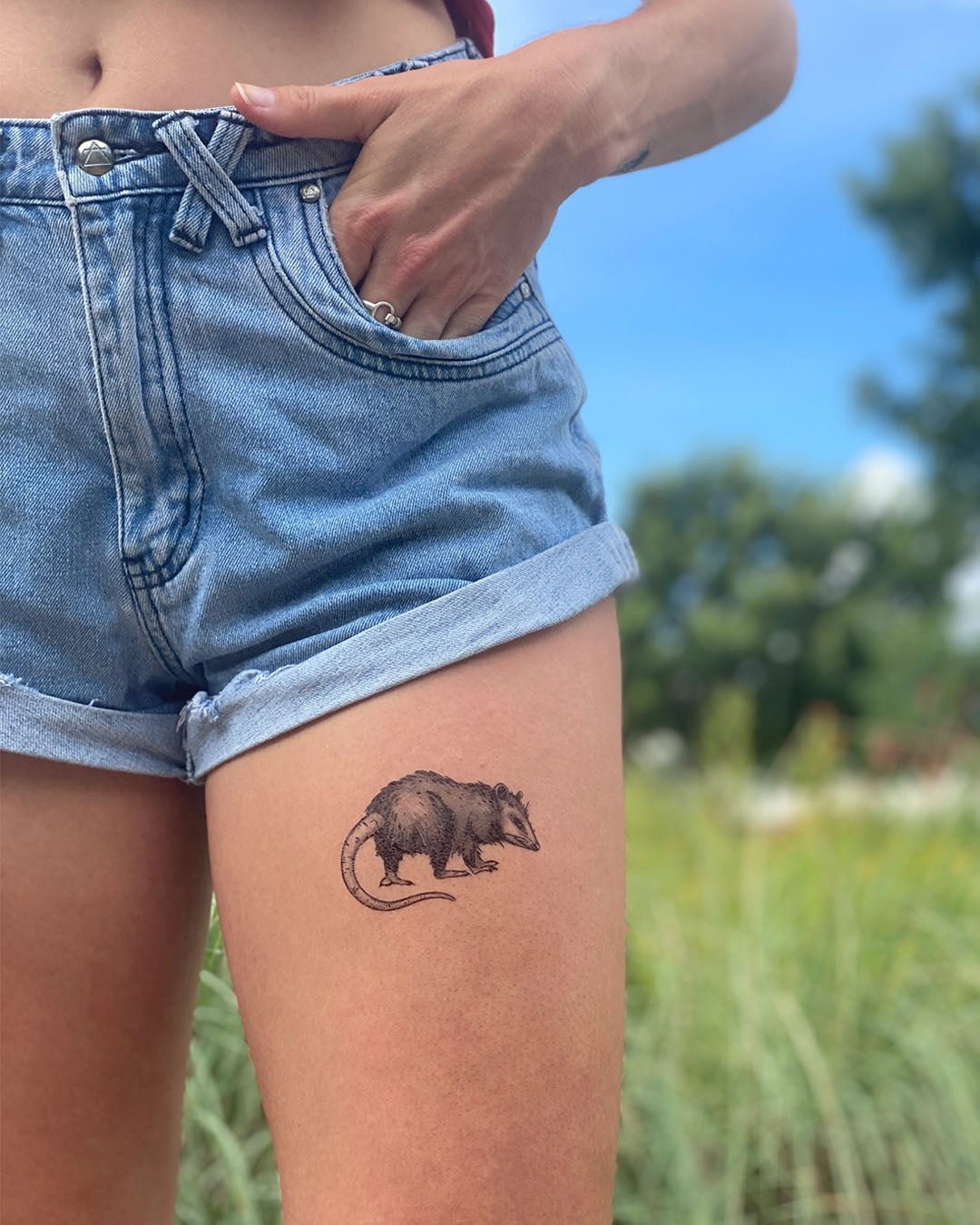 Opossum Temporary Tattoo