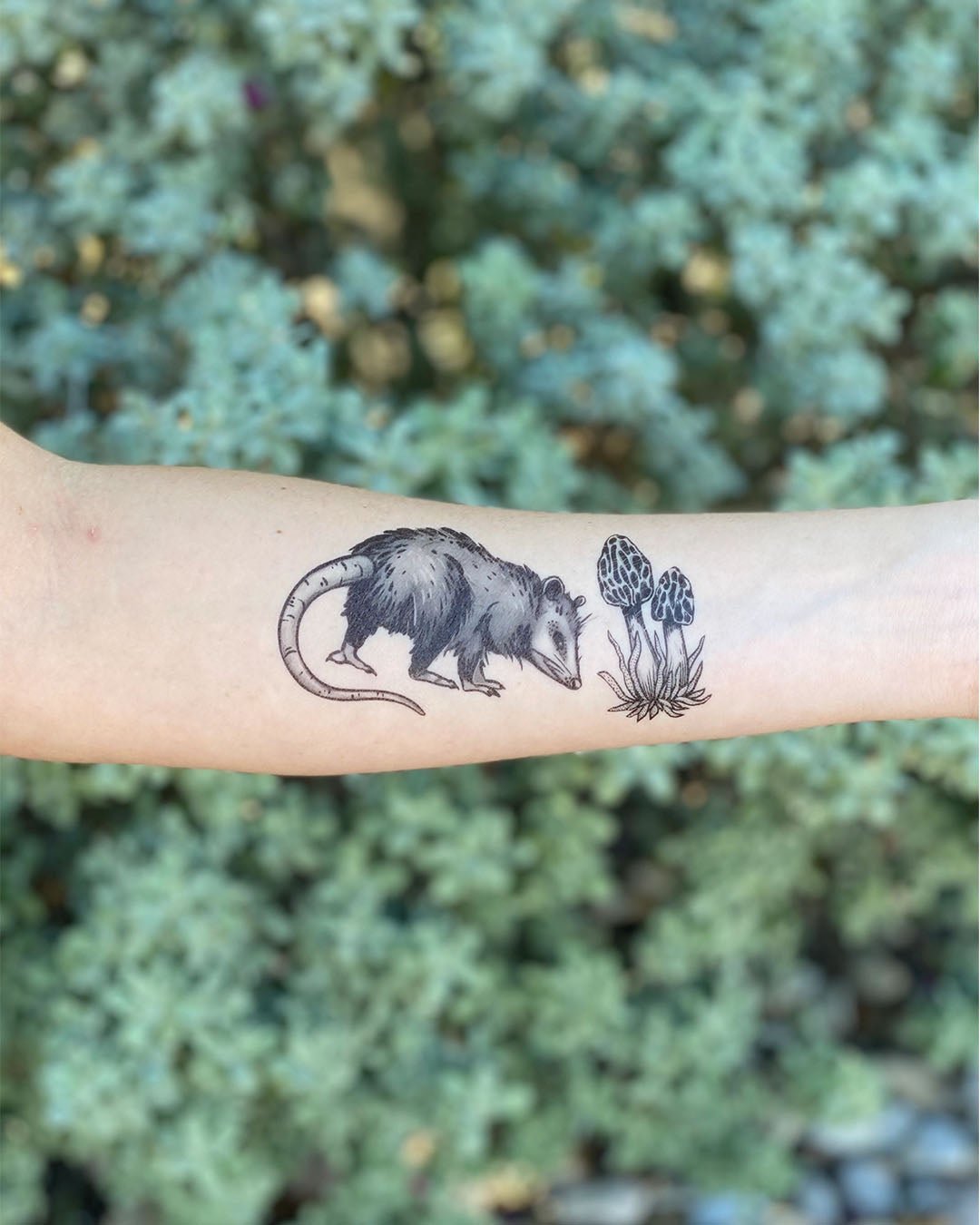 Opossum Temporary Tattoo