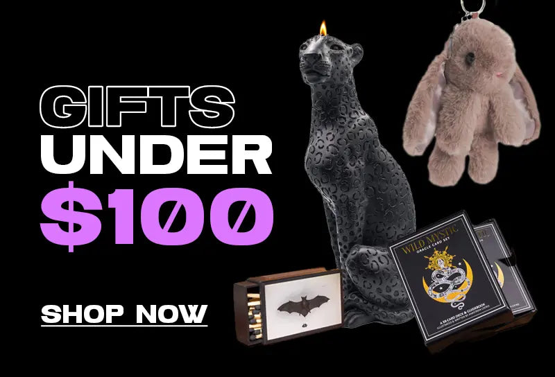 Gifts Under $100 Shop Now with a black jaguar pillar candle, mauve bunny keychain, matches, and a mystic card deck