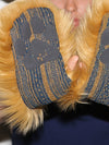 Paw Logos on Golden Retriever Collectors Edition SpiritHood 